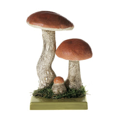 SOMSO Leccinum Aurantiacum Model